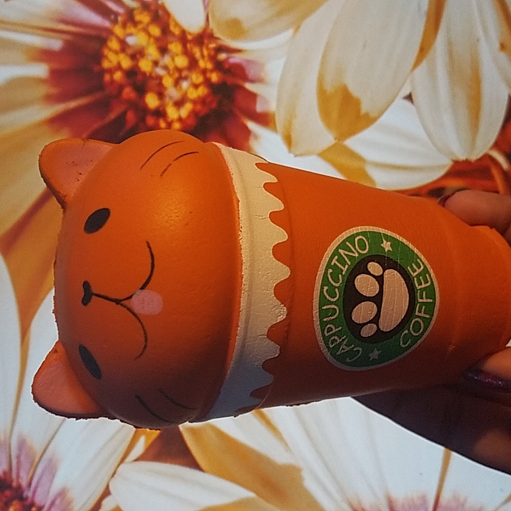 Cat Cappuccino Coffee orange squishy